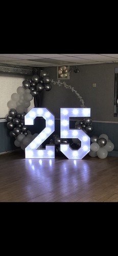 4ft light numbers for hire - 4ft,