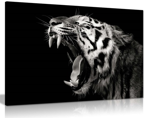 Black white yawning - black, tiger