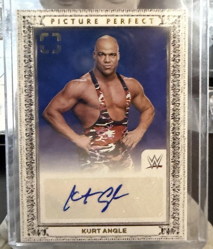 Panini 2024 photogenic wwe - panini,