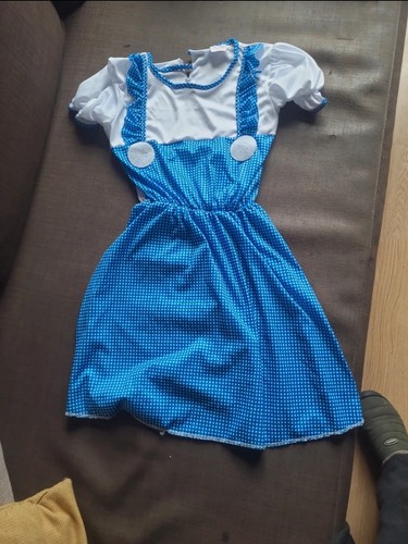 World book day dorothy - book, dress