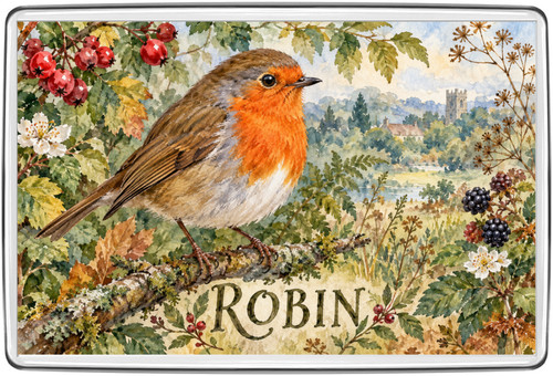 Robin watercolour british - watercolour,