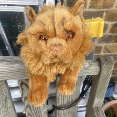 Ginger harry potter soft toy - potter,
