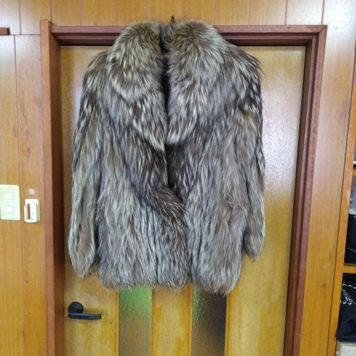 Saga fox silver fur - saga,
