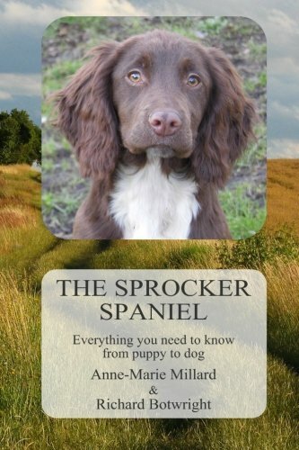 The sprocker spaniel - the,