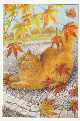 Lesley anne ivory ginger - ginger, cat