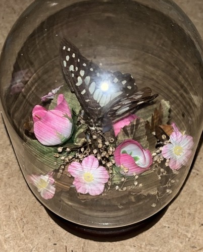 Vintage 1970s butterfly - vintage,