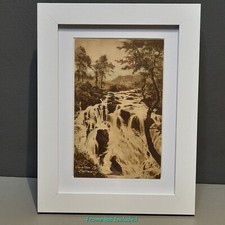 Vintage Postcard Swallow Falls