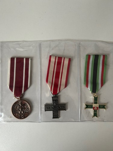 Polish military decorations - military,