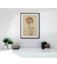 Rennie Mackintosh Gallardia FRAMED PRINT A3 digital Black White or Mid Oak 