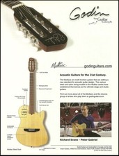 Godin Multiac Steel Duet