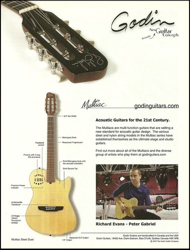 Godin multiac steel - godin,