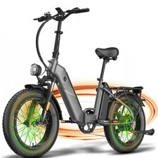 Fafrees Electric Bike 20in 48V