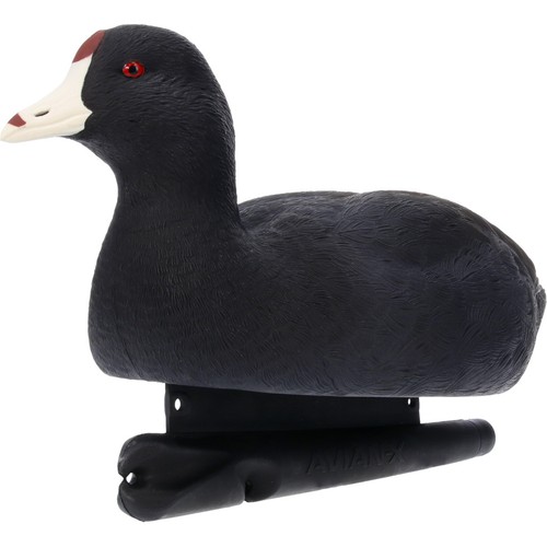 Avian topflight floating - avian, x