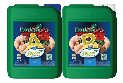 Dutch pro original bloom - pro,