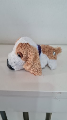 The artlist dog collection - the,