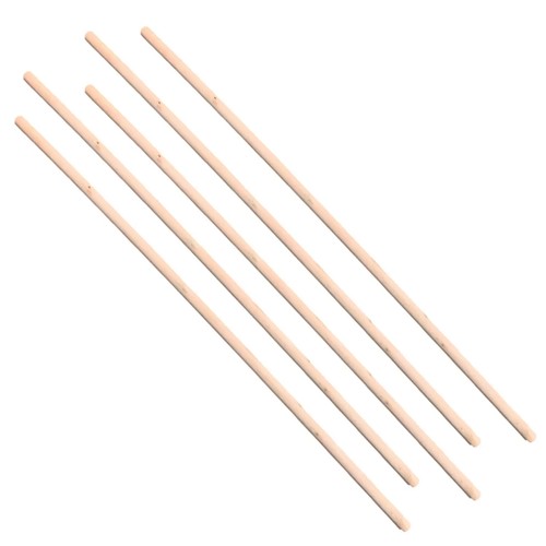 Long wooden broom - broom, handle