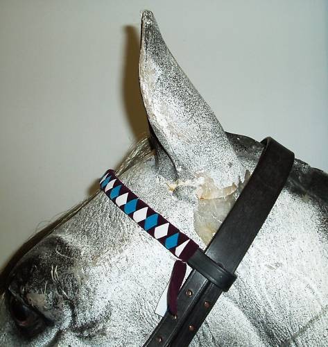Velvet show browband - show,