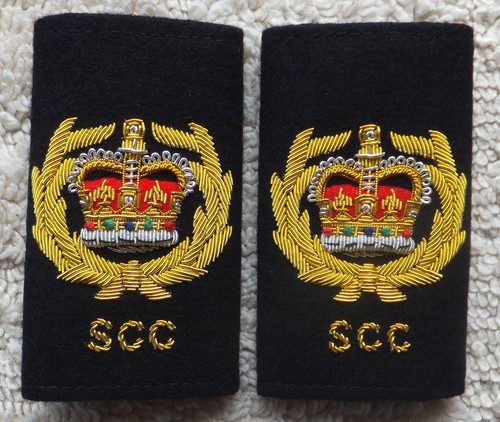 Sea cadet warrant officer - warrant,