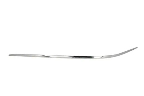 Bumper trim strip left - bumper, front