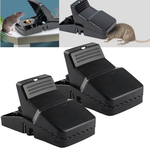 Pack xxl 21cm rat traps - 2,