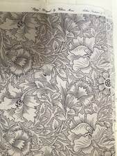 Poppy Sanderson William Morris
