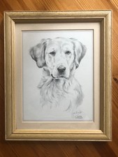Joel Kirk 'Golden Retriever'