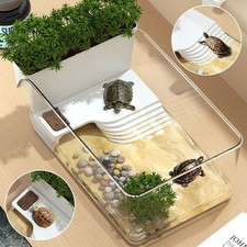 Small Turtle Tank Turtle