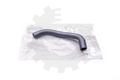 Hose crankcase ventilation - crankcase,