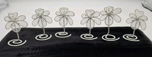 Name place card photo - name, holders
