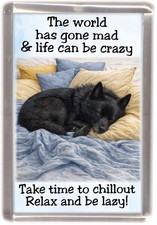 Schipperke Dog Fridge Magnet