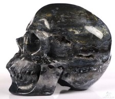 Huge 4.8" Black Zebra Agate