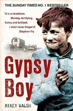 Gypsy Boy: The bestselling