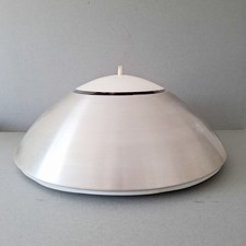 Vintage Thorn Pendant Light