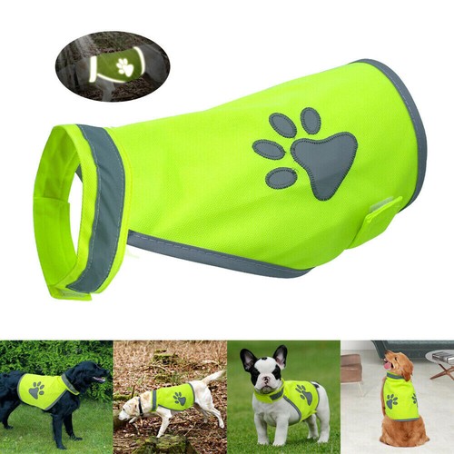 High visibility dog jacket - high,