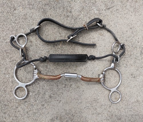 Myler short shank combination
