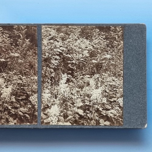Shropshire stereoview c1910 - stereoview,
