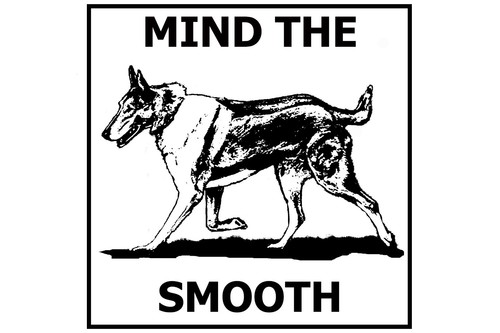 Mind the smooth collie - mind,