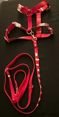 Furei brand designer - dog, leash