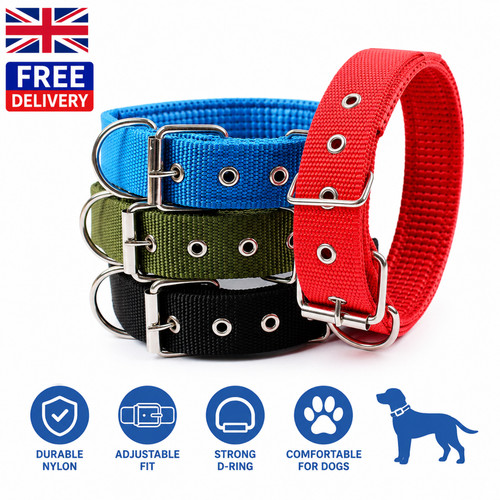 Solid nylon dog collar - solid,