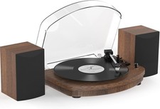 Vinyl Record Player with Dual