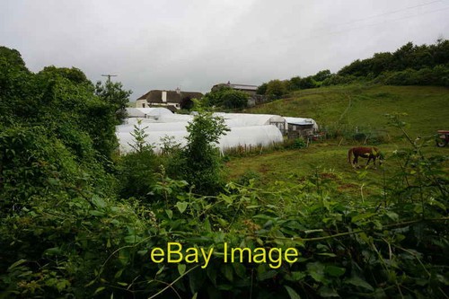 Photo 6x4 polytunnels - photo,