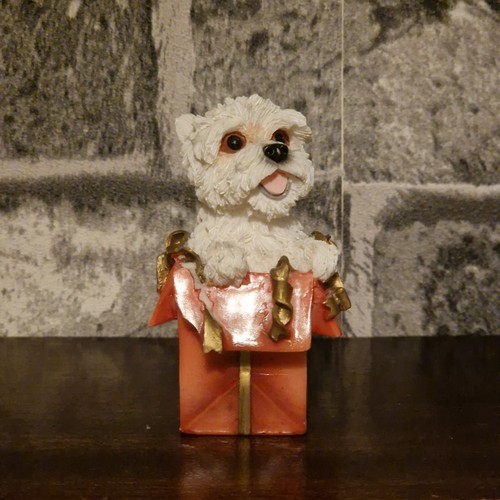 White terrier puppy gift - white, in