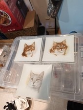 Bundle X3 Vintage Square Glass