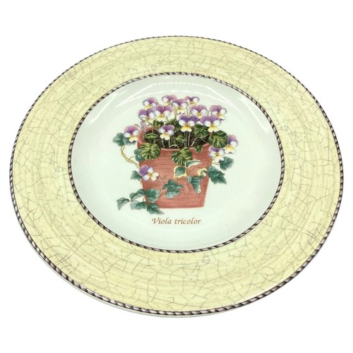 Wedgwood sarah garden viola - sarah's,