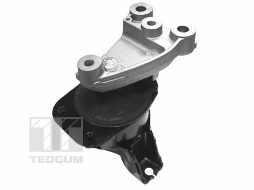Engine mounting tedgum - engine,