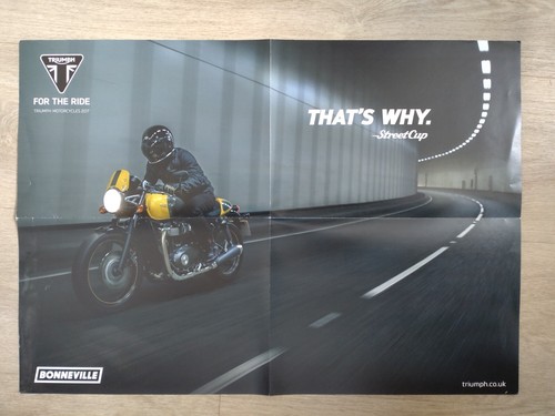 Triumph street cup - triumph,