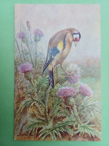 Post card salmon george - post,