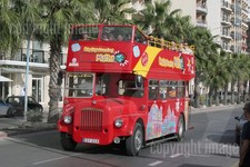 Bus Photo - City Sightseeing