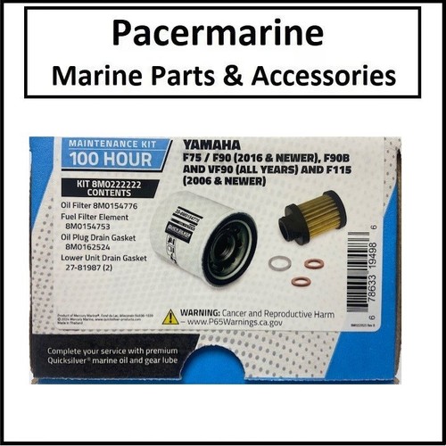 Yamaha 100h maintenance kit - yamaha,