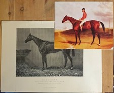 1868 Epsom Derby Winner Blue